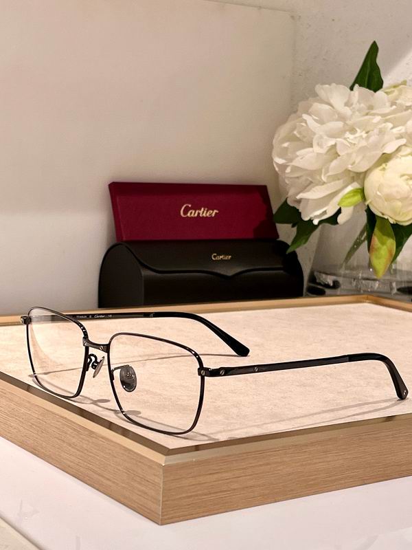 Cartier plain Glasses (80)